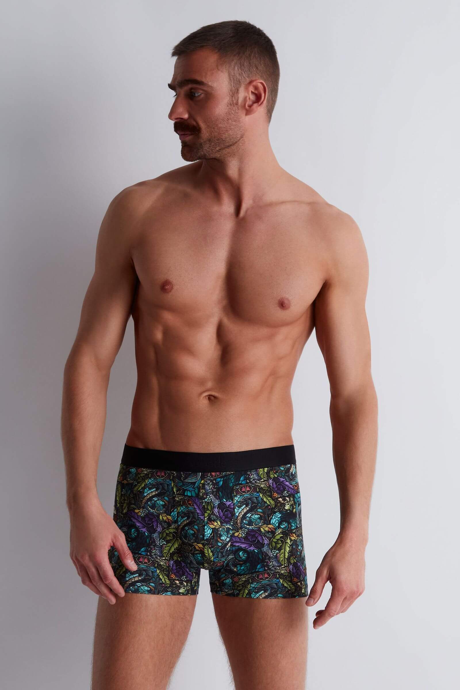 Трусы боксеры-брифы с принтом Бренд  Изображение 4