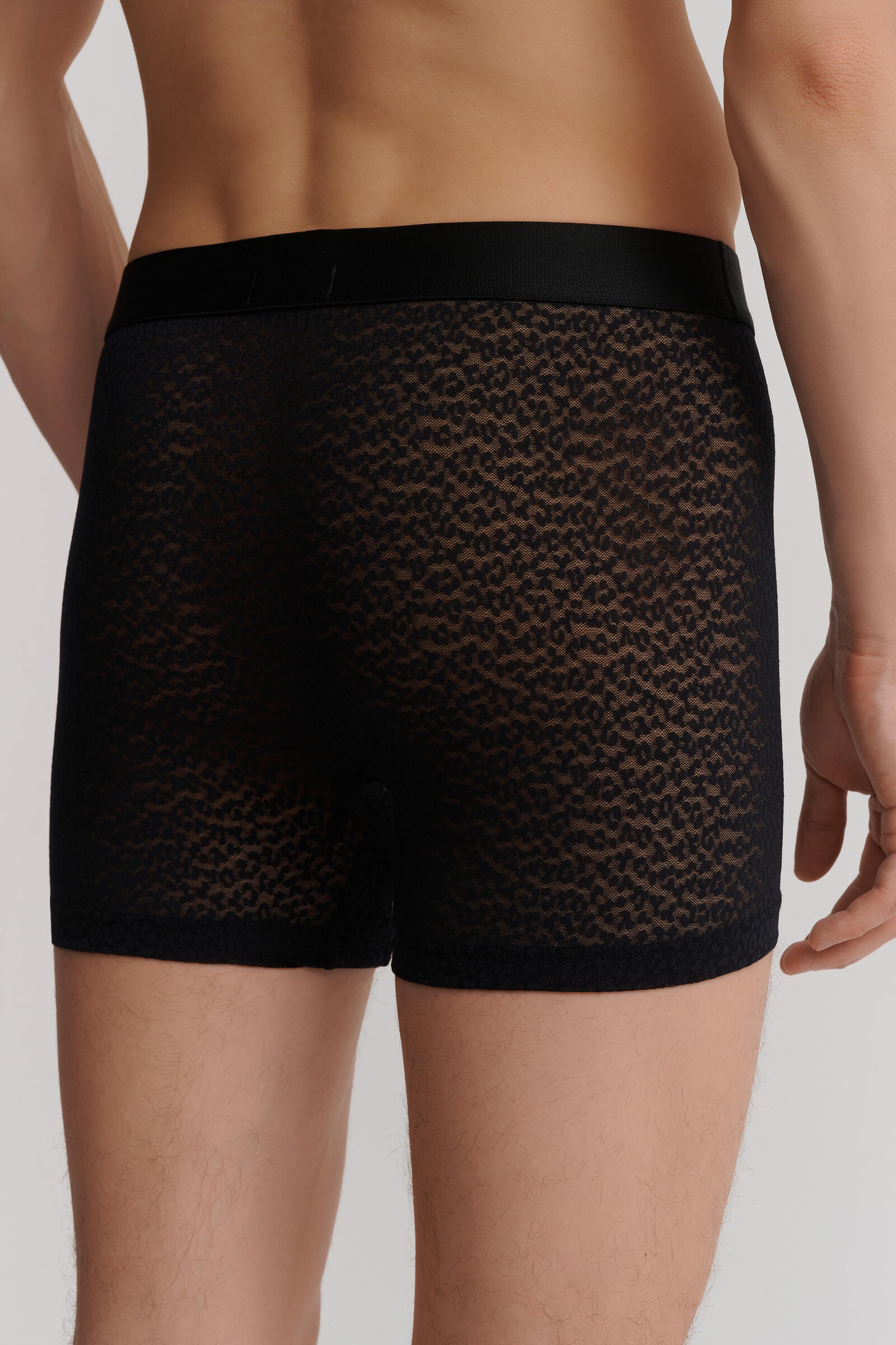 Трусы боксеры-брифы с анималистичным узором Бренд  Изображение 2