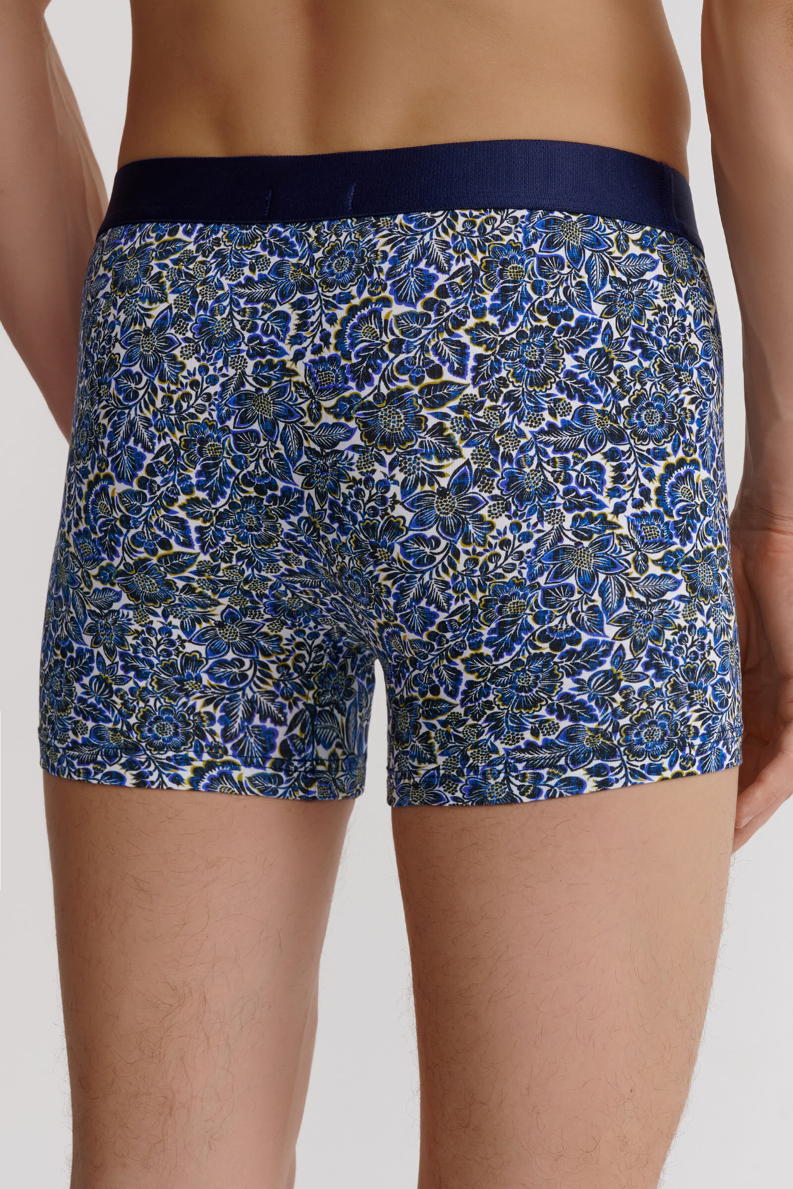 Трусы боксеры-брифы с принтом Бренд  Изображение 3