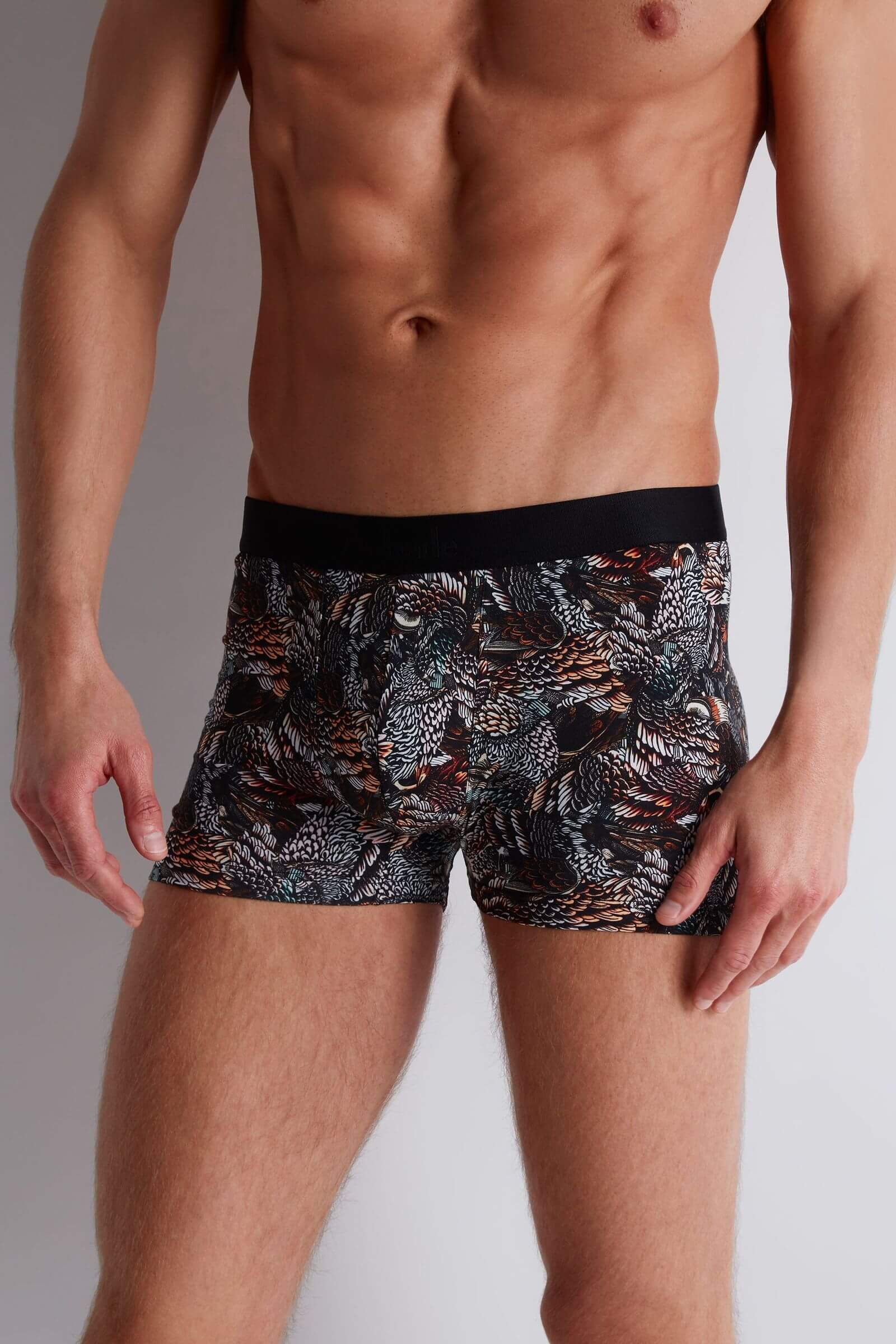 Трусы боксеры-брифы с принтом Бренд 