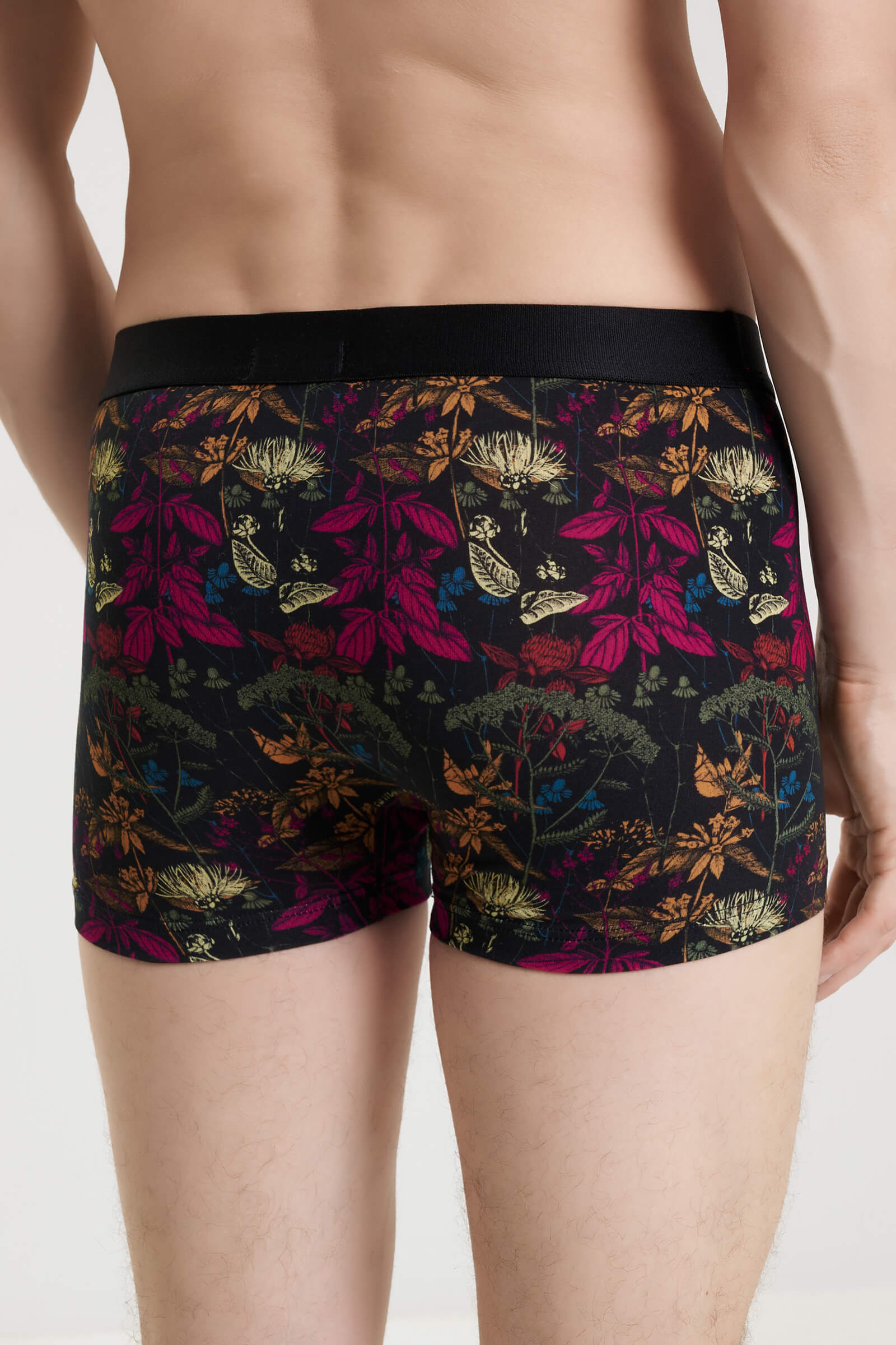 Трусы боксеры-брифы с принтом Бренд  Изображение 3