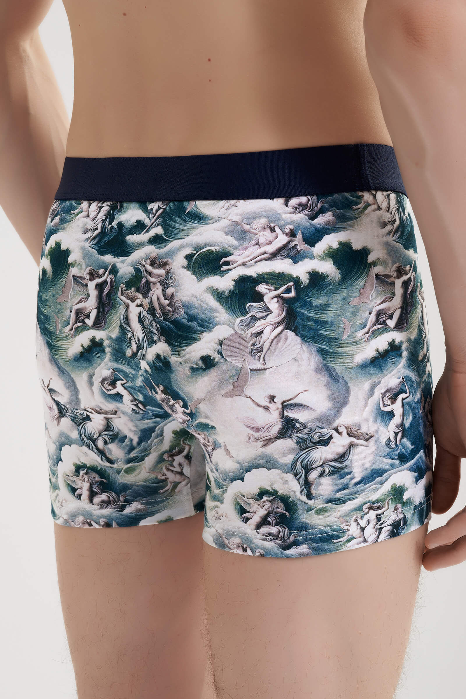 Трусы боксеры-брифы с принтом Бренд  Изображение 4