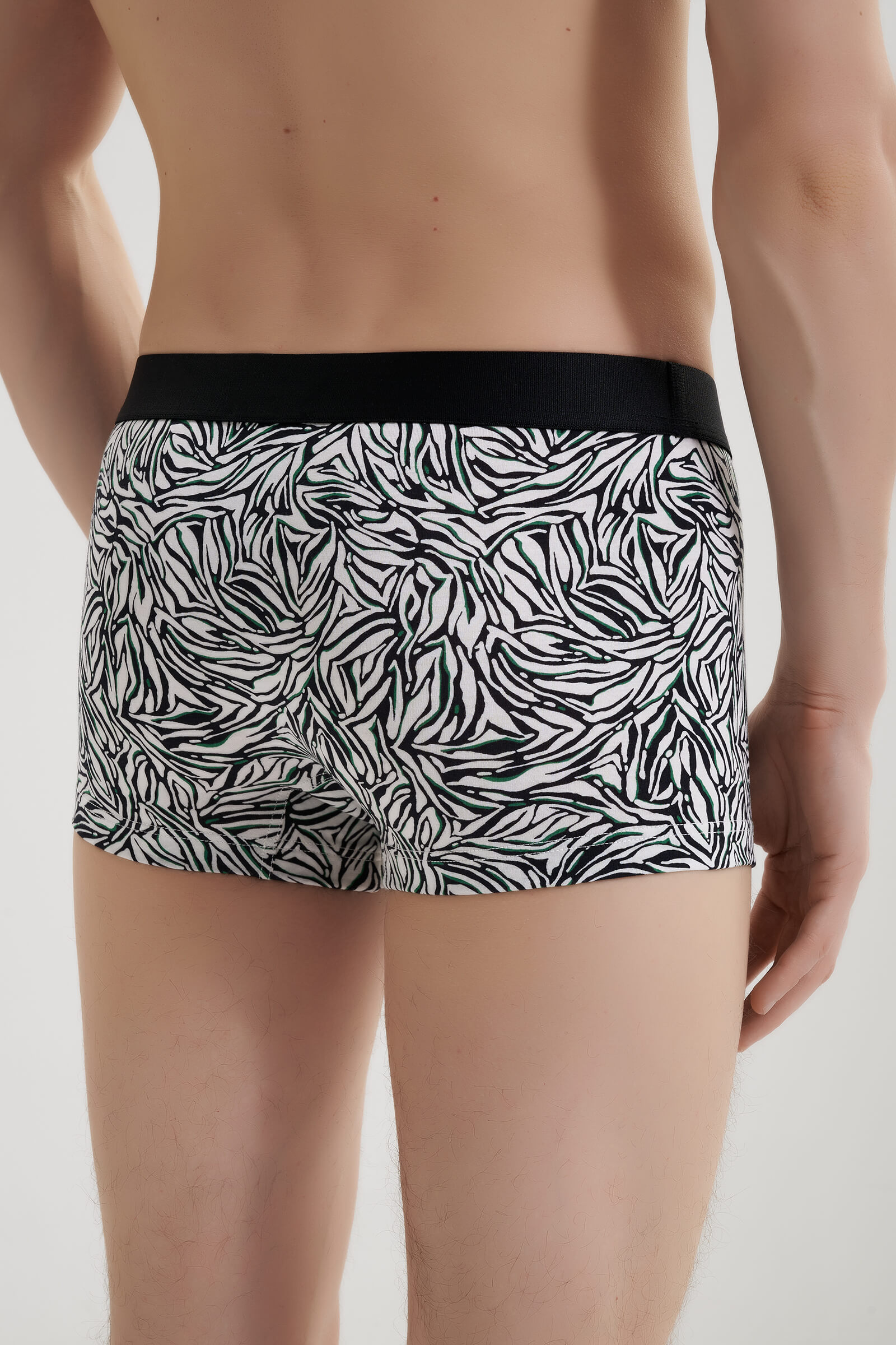 Трусы транки из смесового хлопка Бренд  Изображение 4