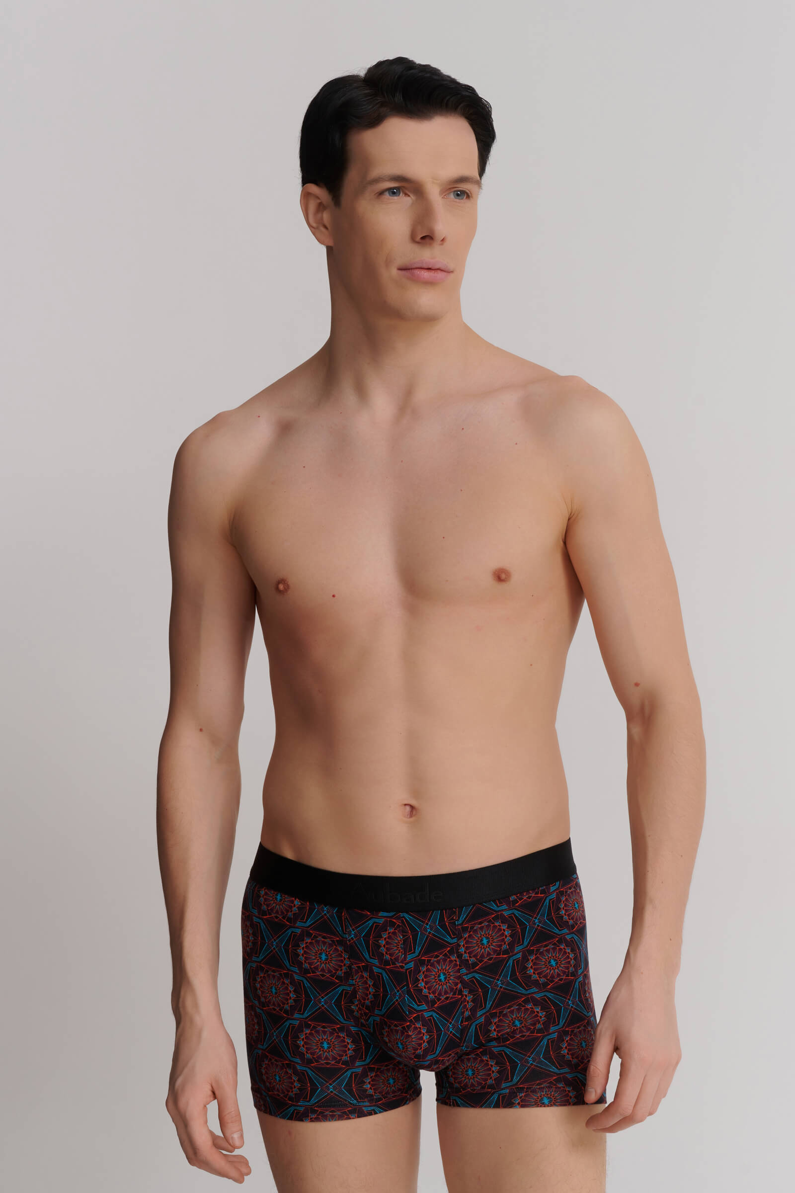 Трусы боксеры-брифы с принтом Бренд  Изображение 2