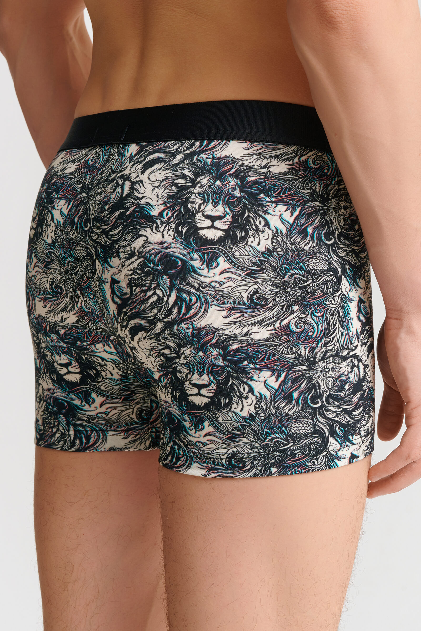 Трусы боксеры-брифы с принтом Бренд  Изображение 3