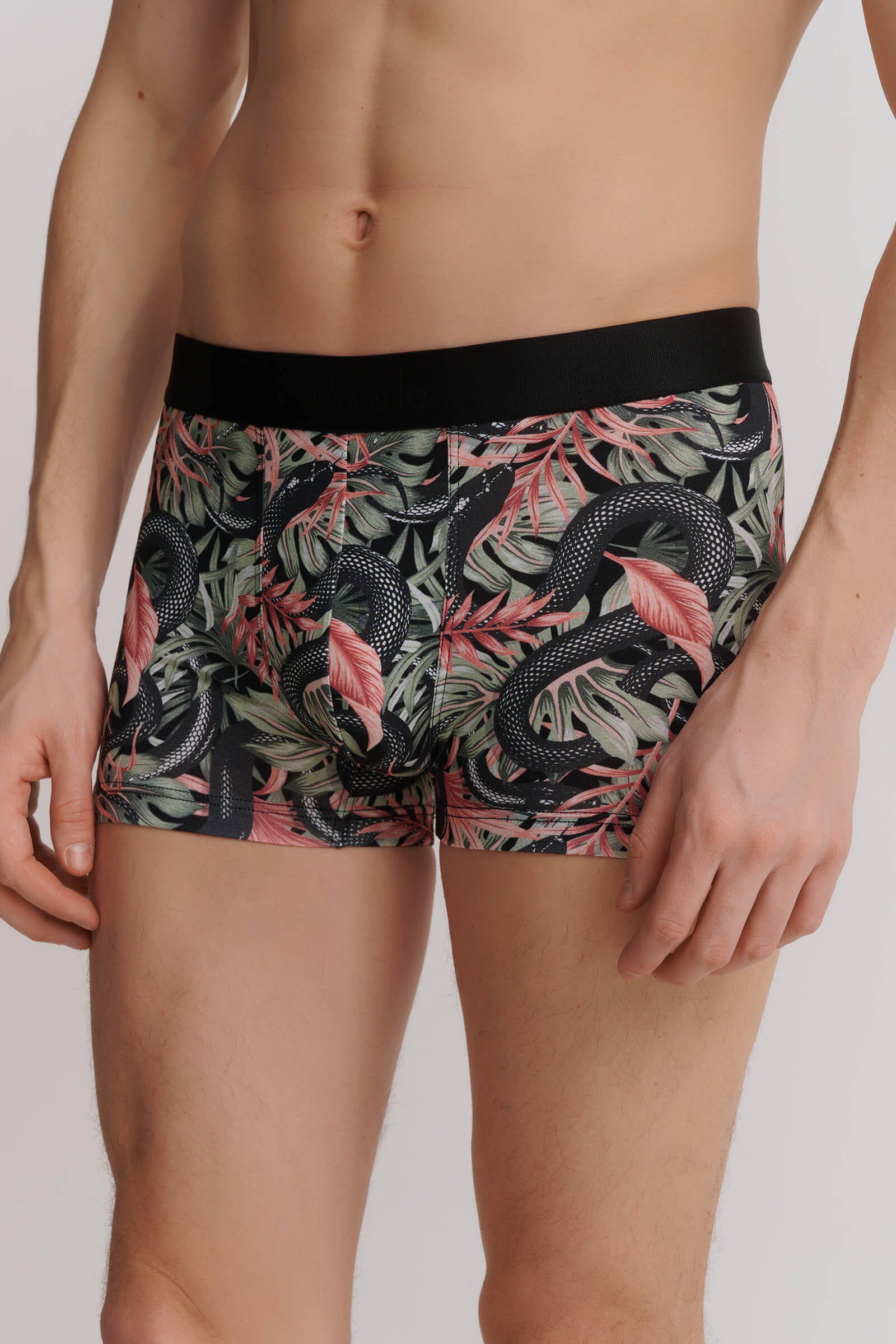 Трусы боксеры-брифы с принтом Бренд 