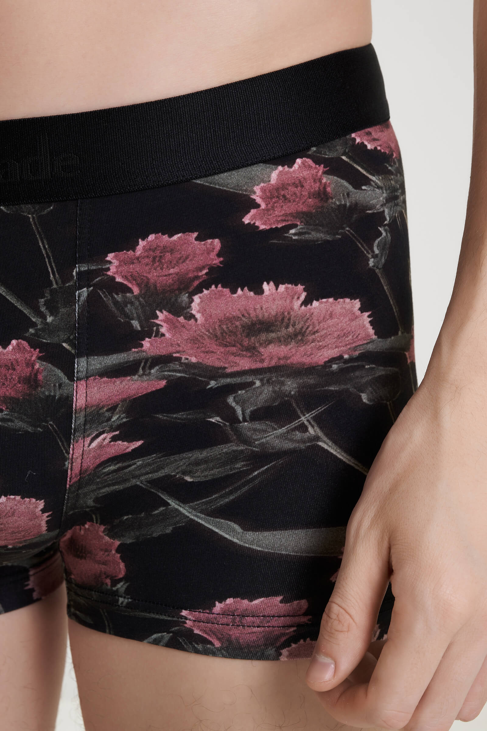 Трусы боксеры-брифы с принтом Бренд  Изображение 5