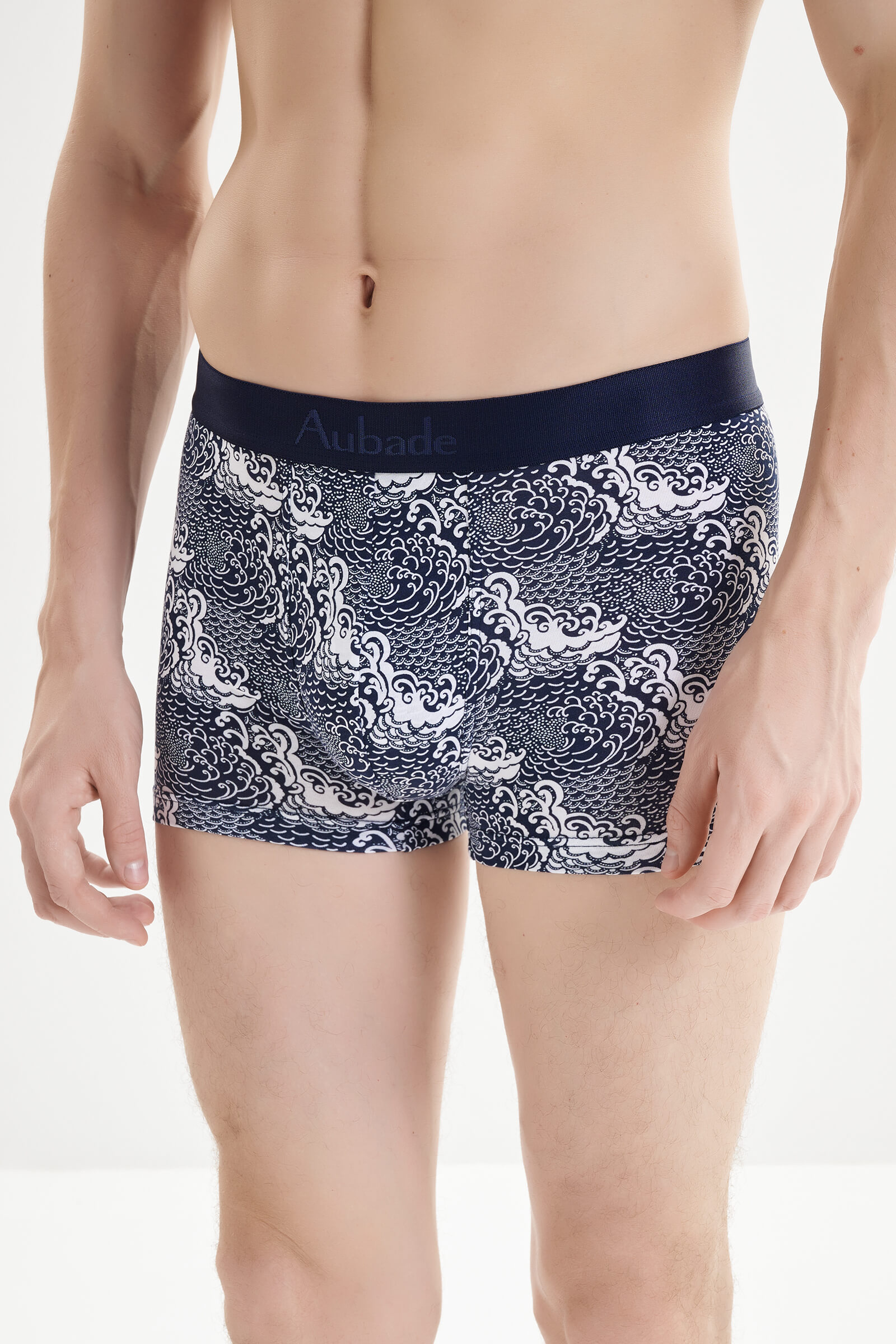 Трусы боксеры-брифы с принтом Бренд 