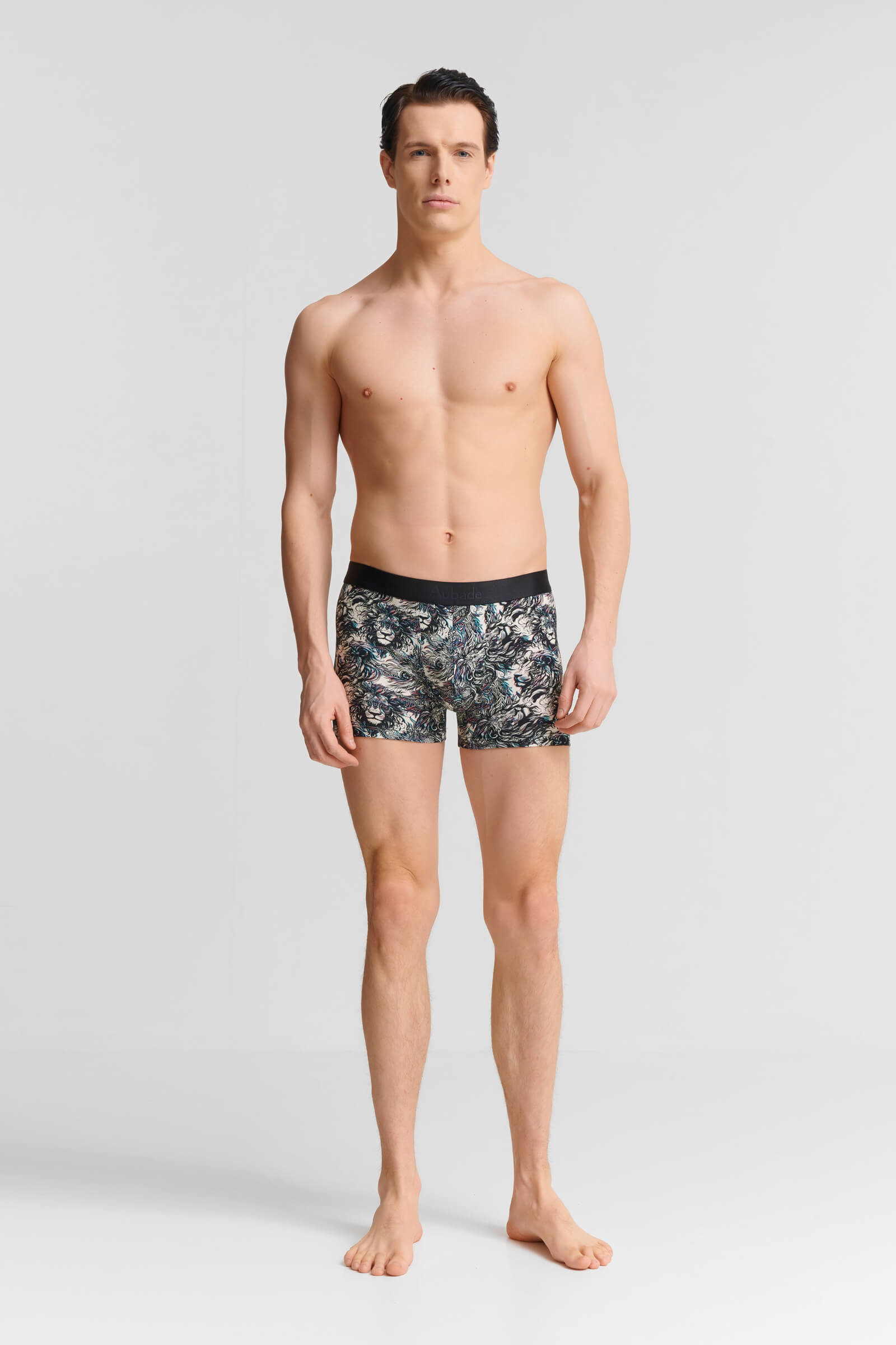 Трусы боксеры-брифы с принтом Бренд  Изображение 4