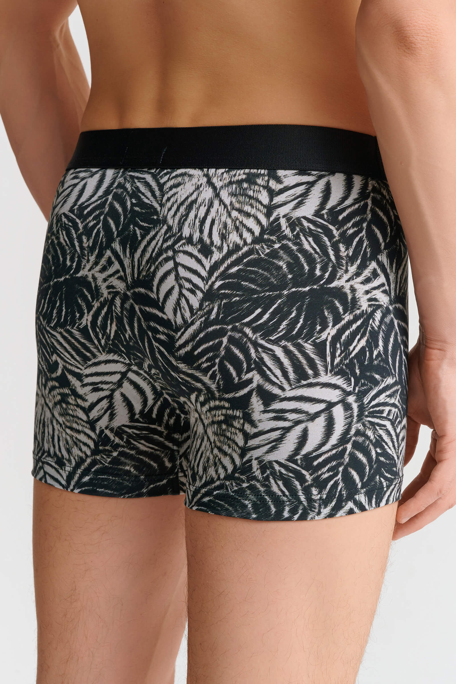 Трусы боксеры-брифы с принтом Бренд  Изображение 3