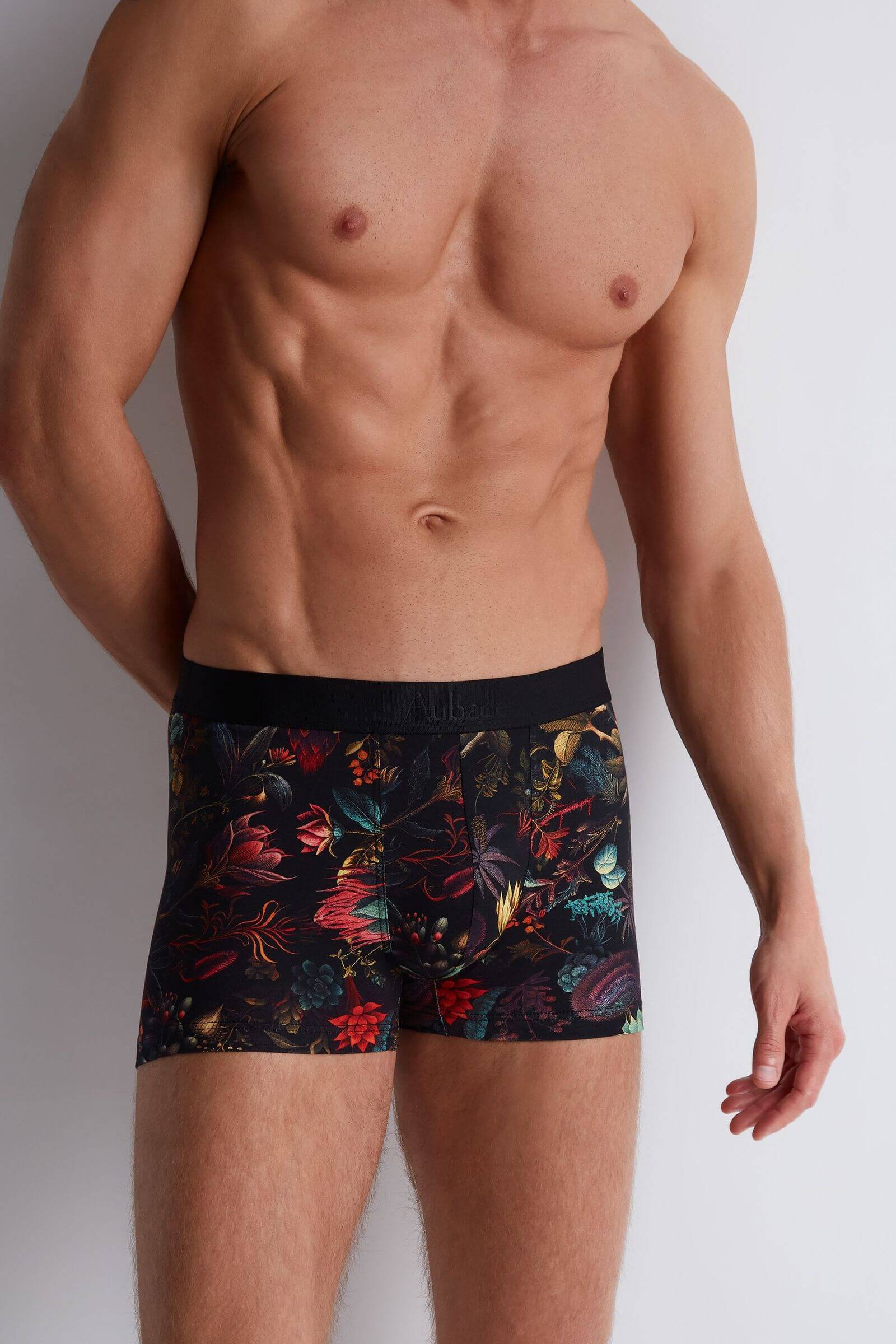 Трусы боксеры-брифы с принтом Бренд 