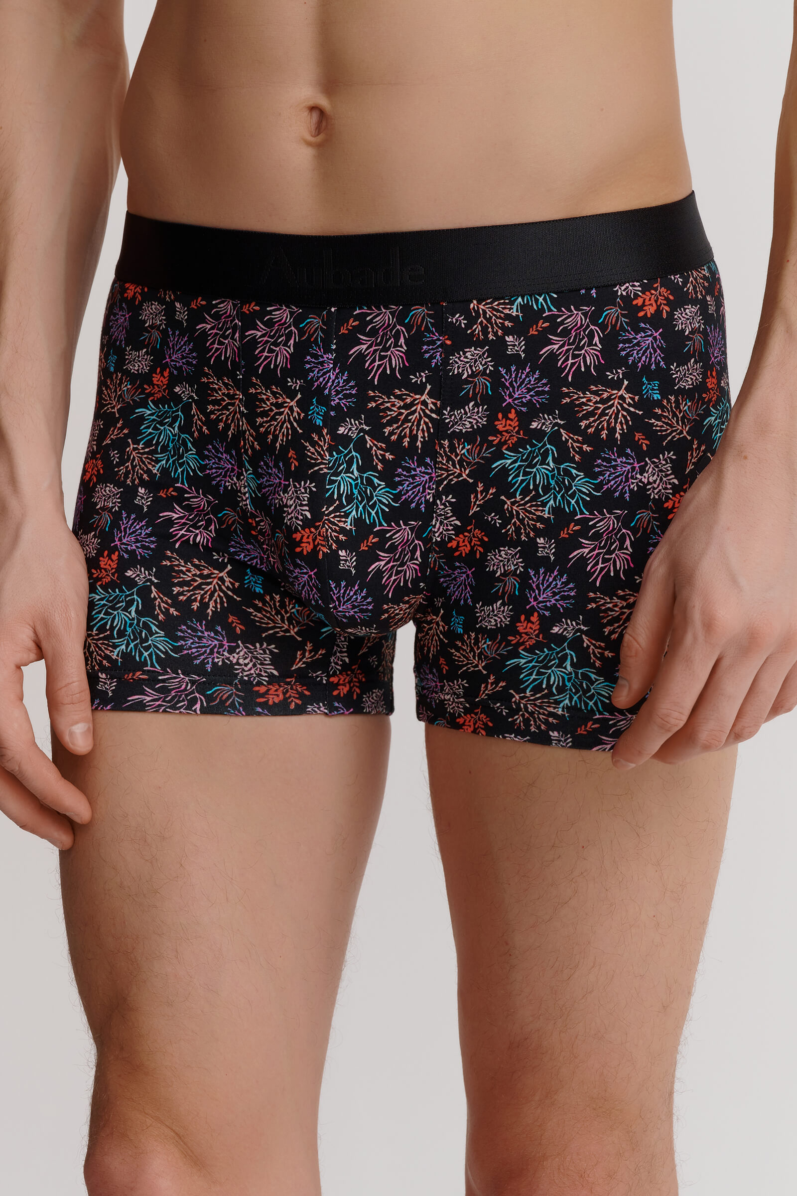 Трусы боксеры-брифы с принтом Бренд 