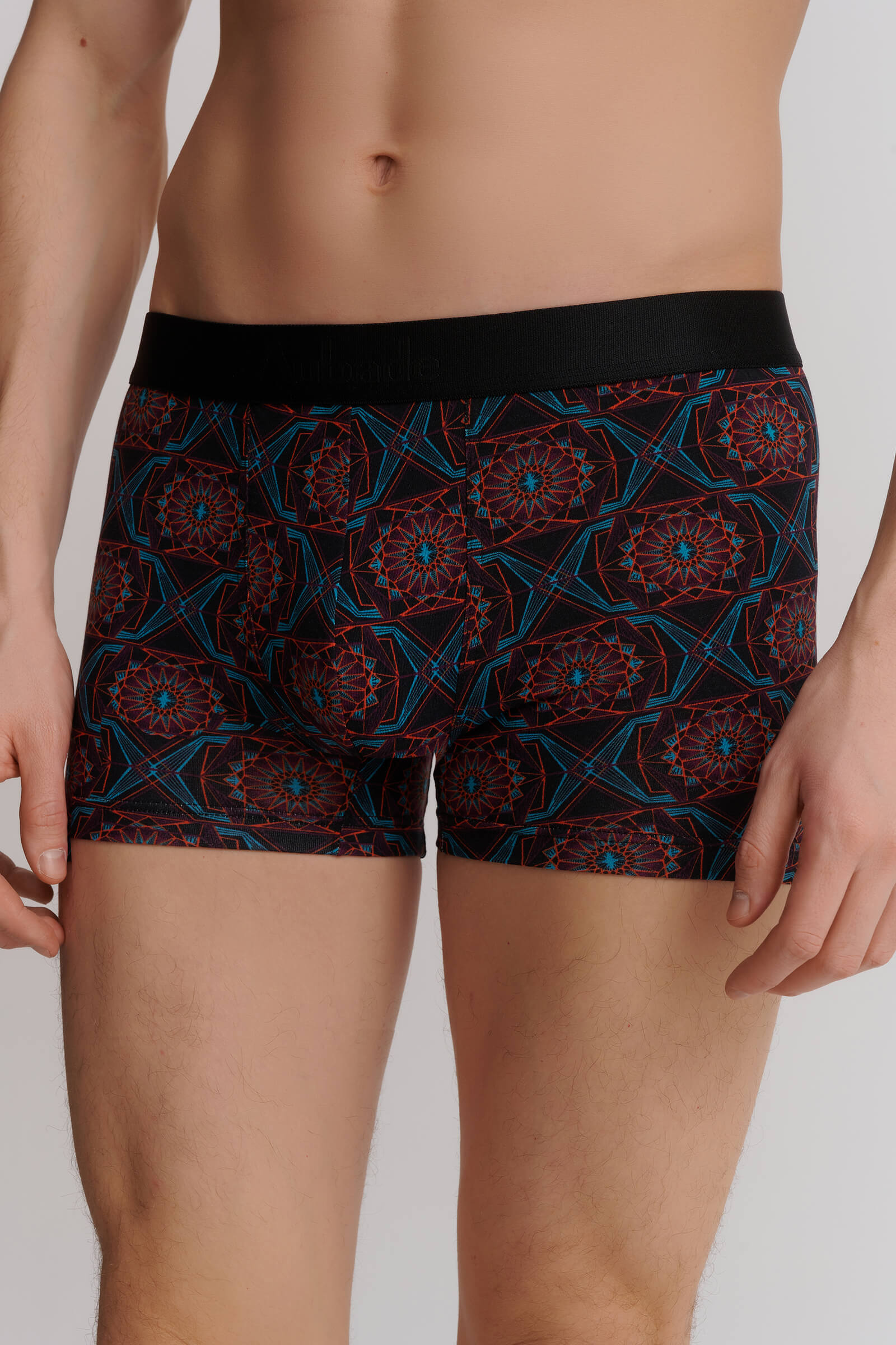 Трусы боксеры-брифы с принтом Бренд 