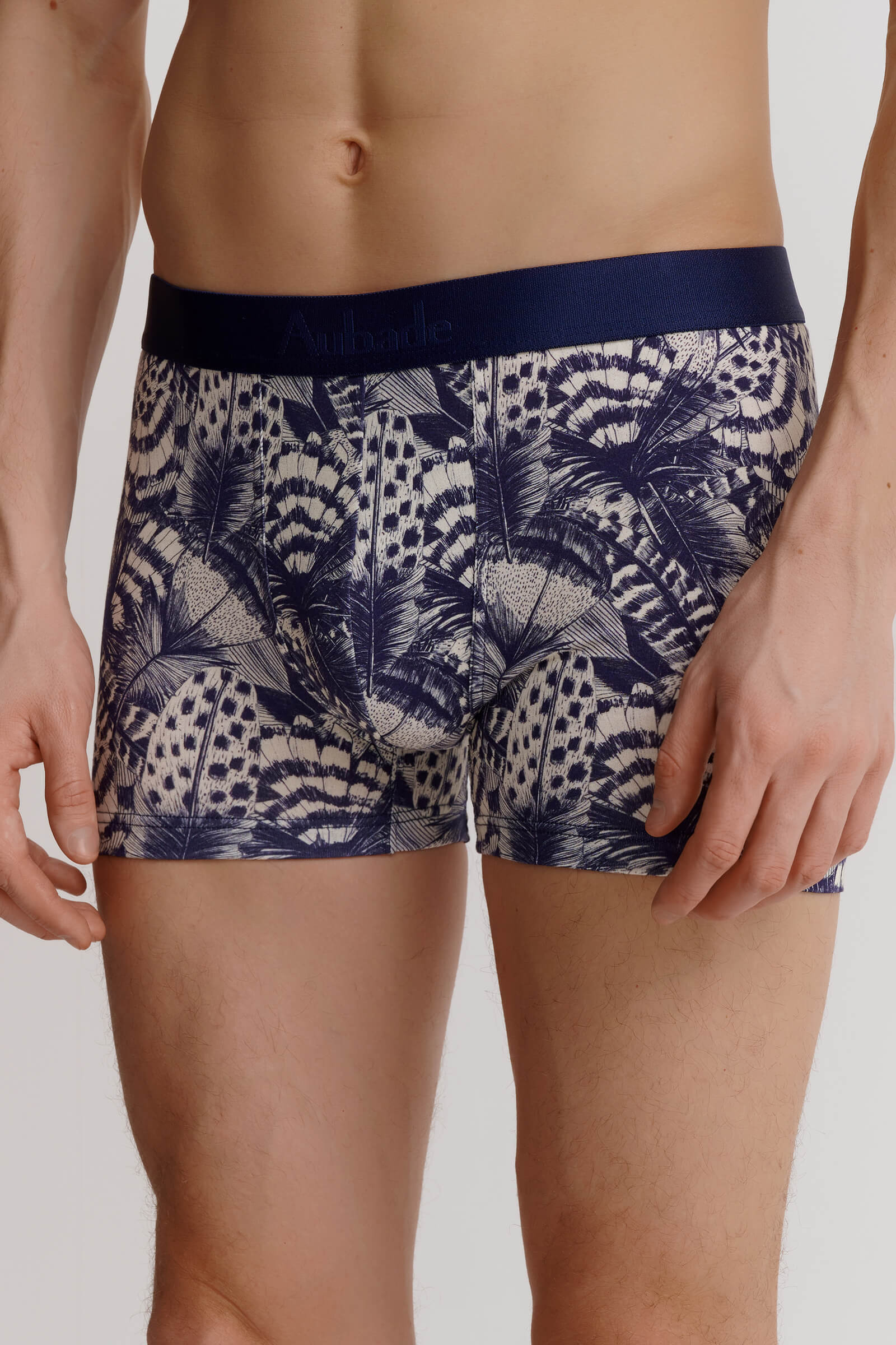 Трусы боксеры-брифы с принтом Бренд 