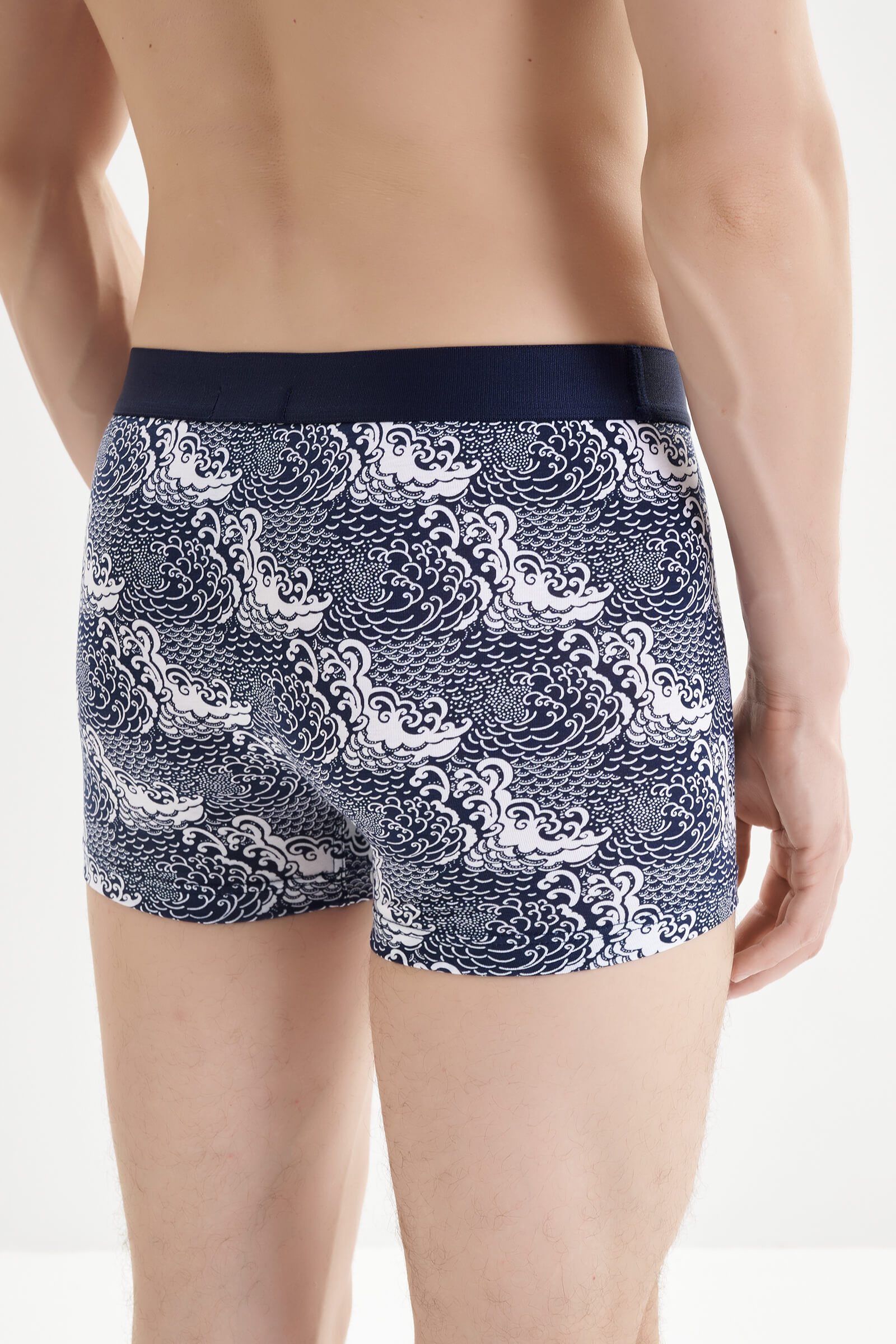 Трусы боксеры-брифы с принтом Бренд  Изображение 3