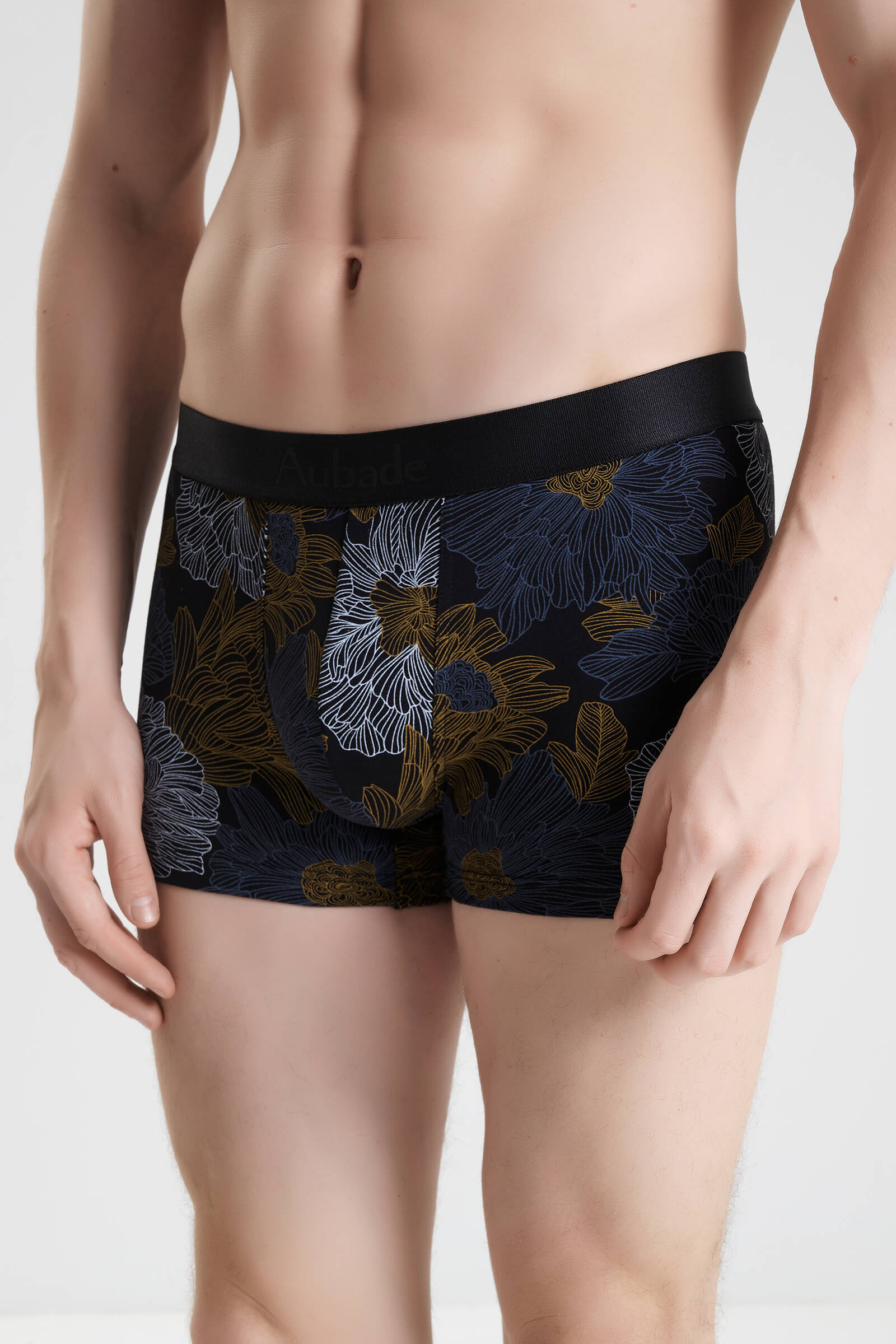 Трусы боксеры-брифы с принтом Бренд 