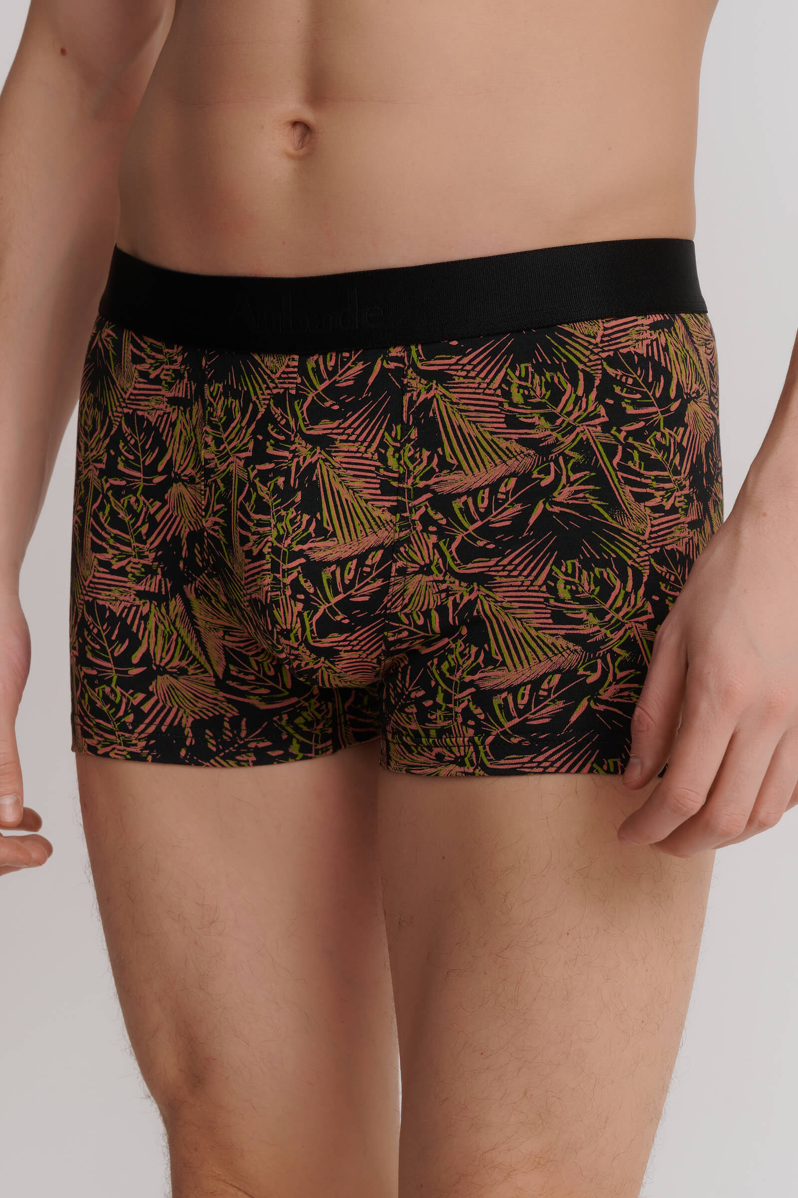 Трусы боксеры-брифы с принтом Бренд 