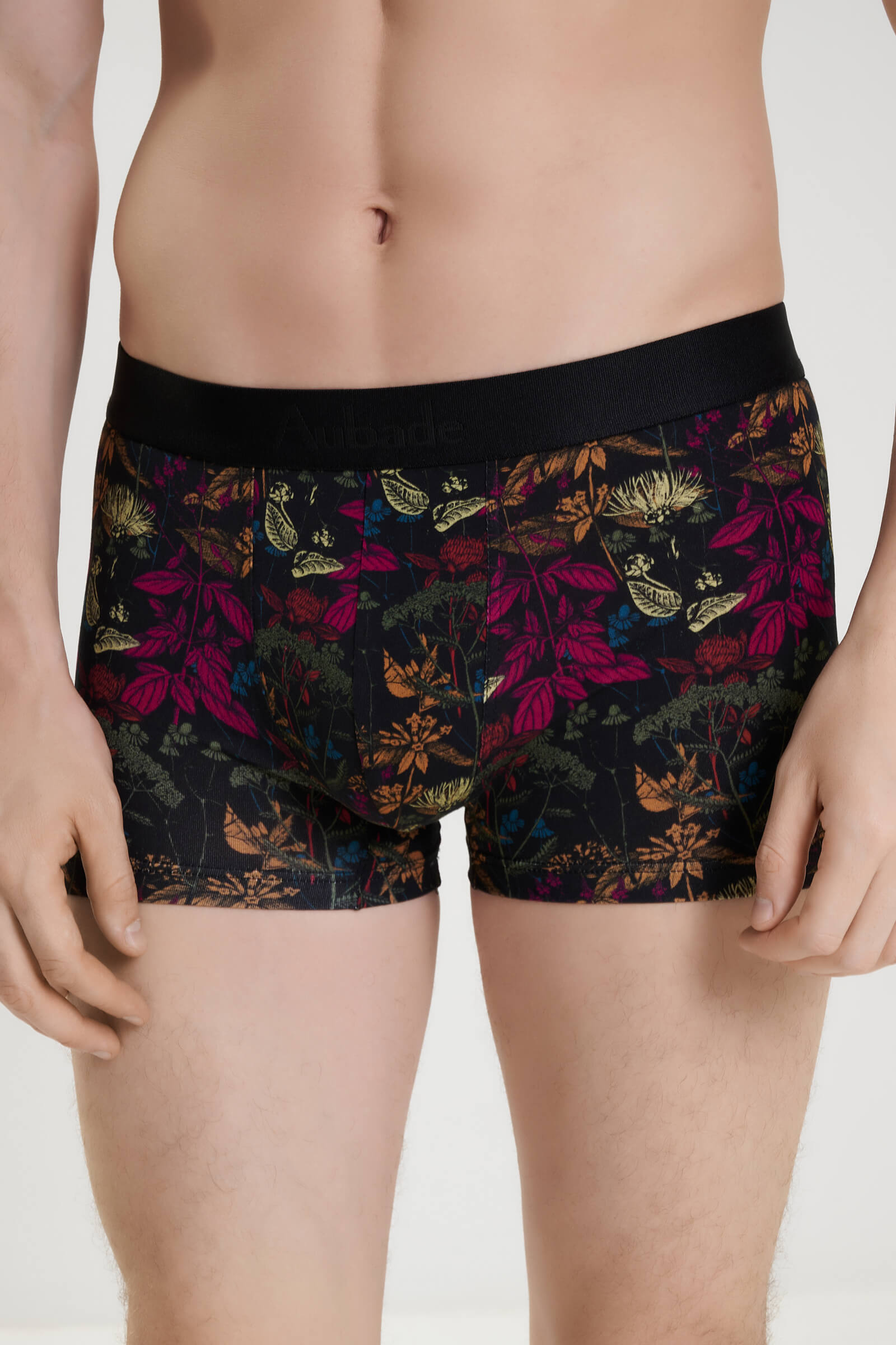 Трусы боксеры-брифы с принтом Бренд 