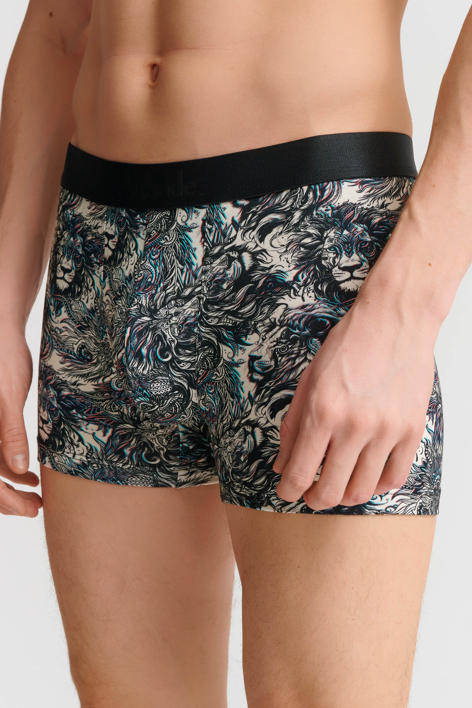 Трусы боксеры-брифы с принтом Бренд 