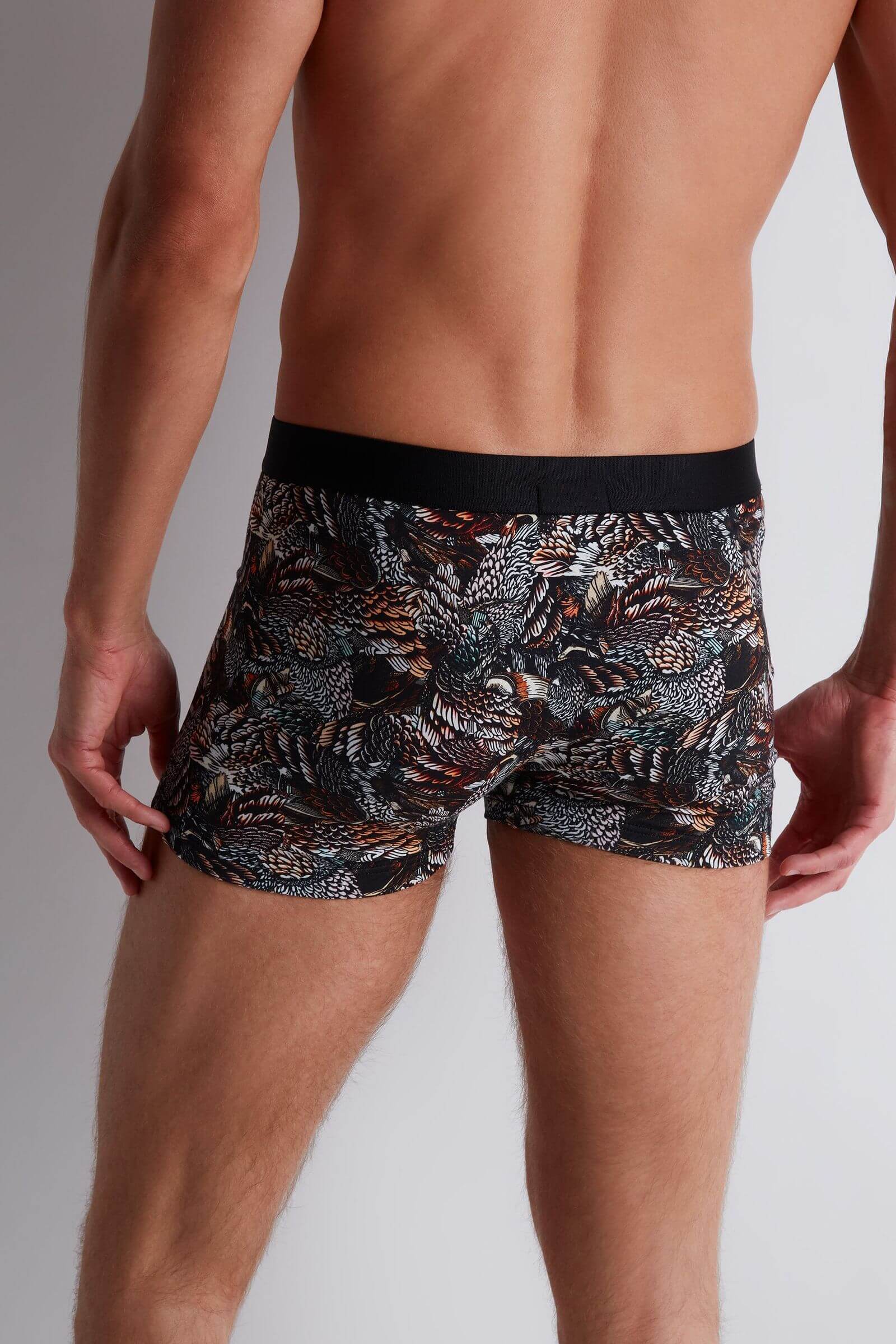 Трусы боксеры-брифы с принтом Бренд  Изображение 3