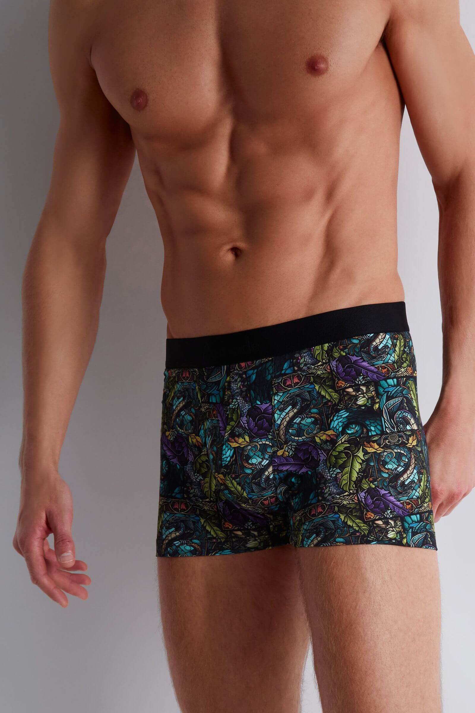 Трусы боксеры-брифы с принтом Бренд 