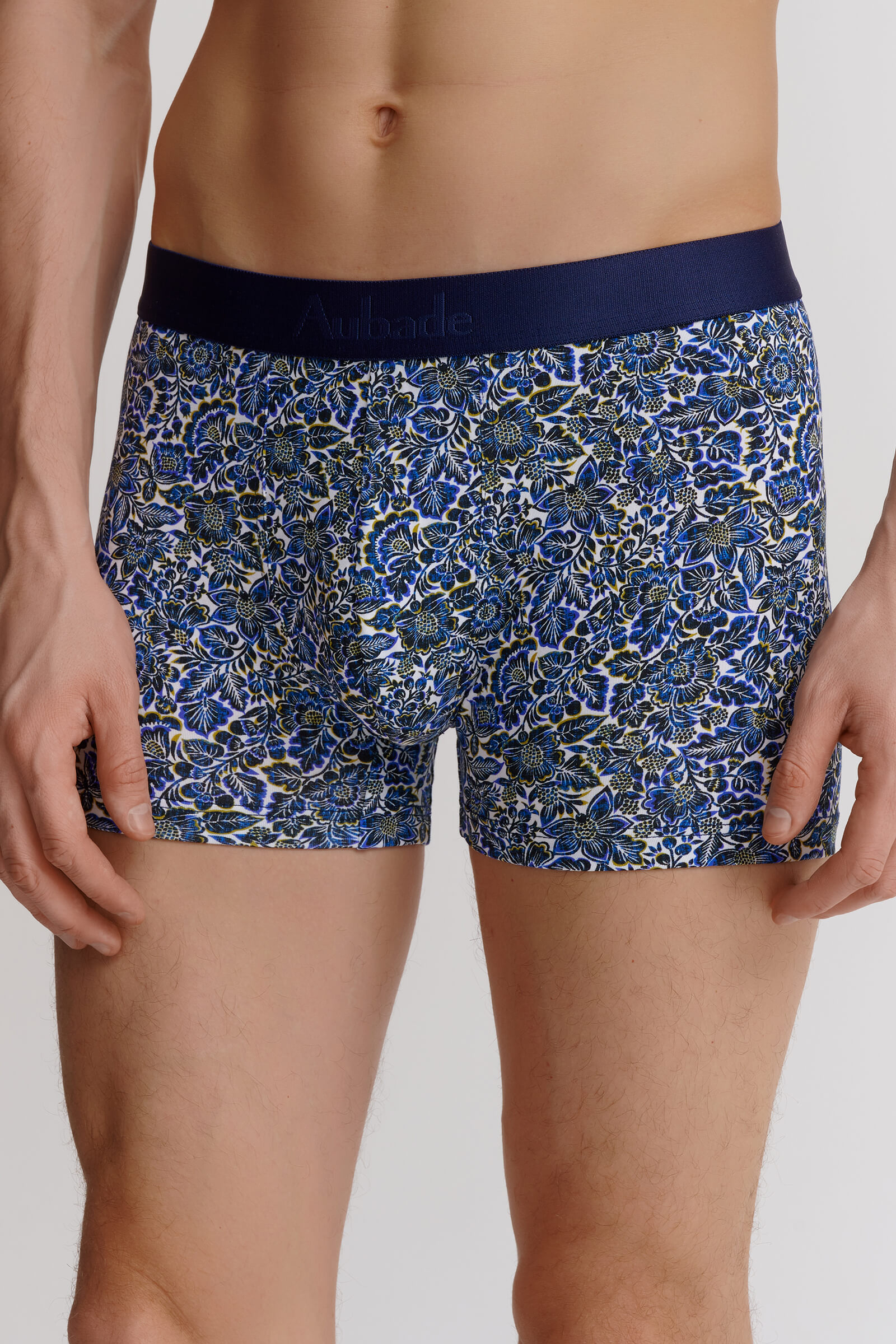 Трусы боксеры-брифы с принтом Бренд 