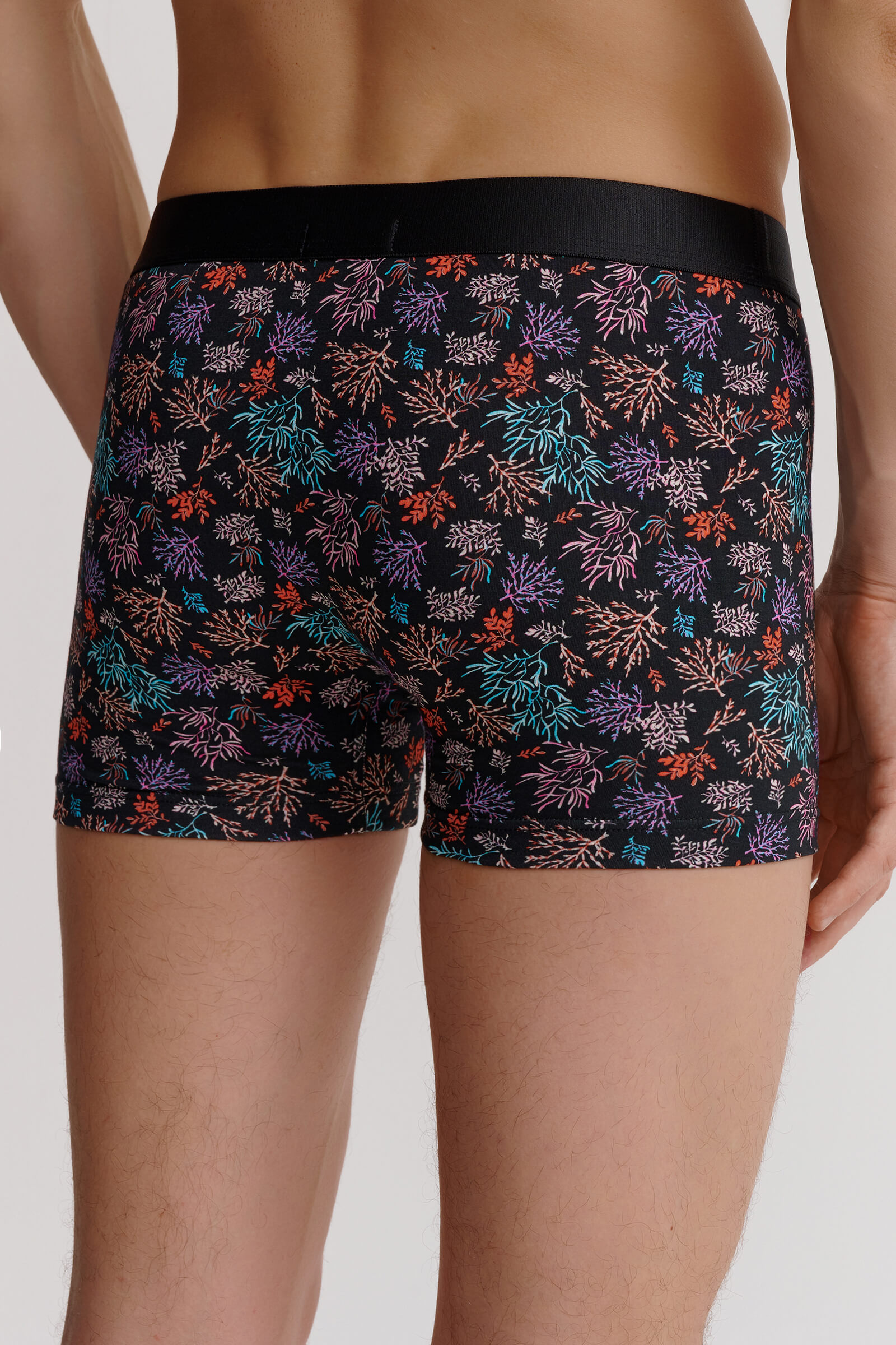 Трусы боксеры-брифы с принтом Бренд  Изображение 3