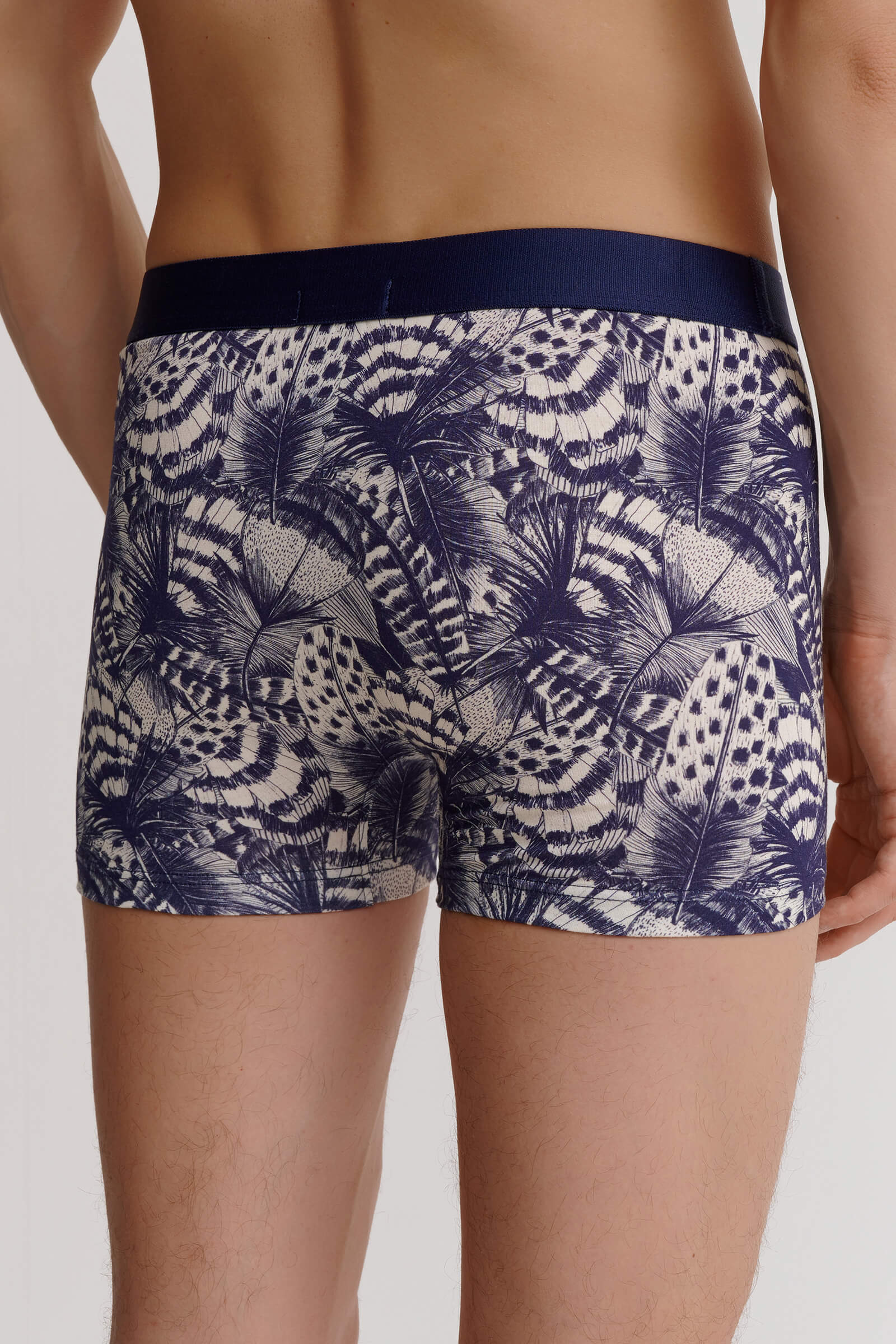 Трусы боксеры-брифы с принтом Бренд  Изображение 3