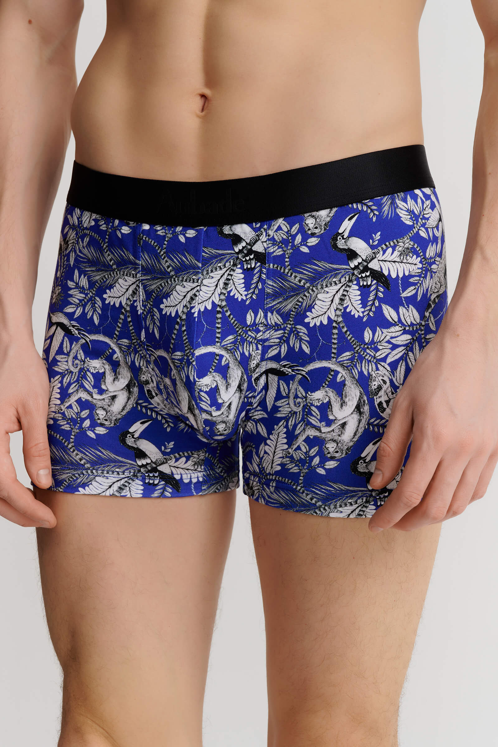 Комплект хлопковых трусов боксеров-брифов Бренд 