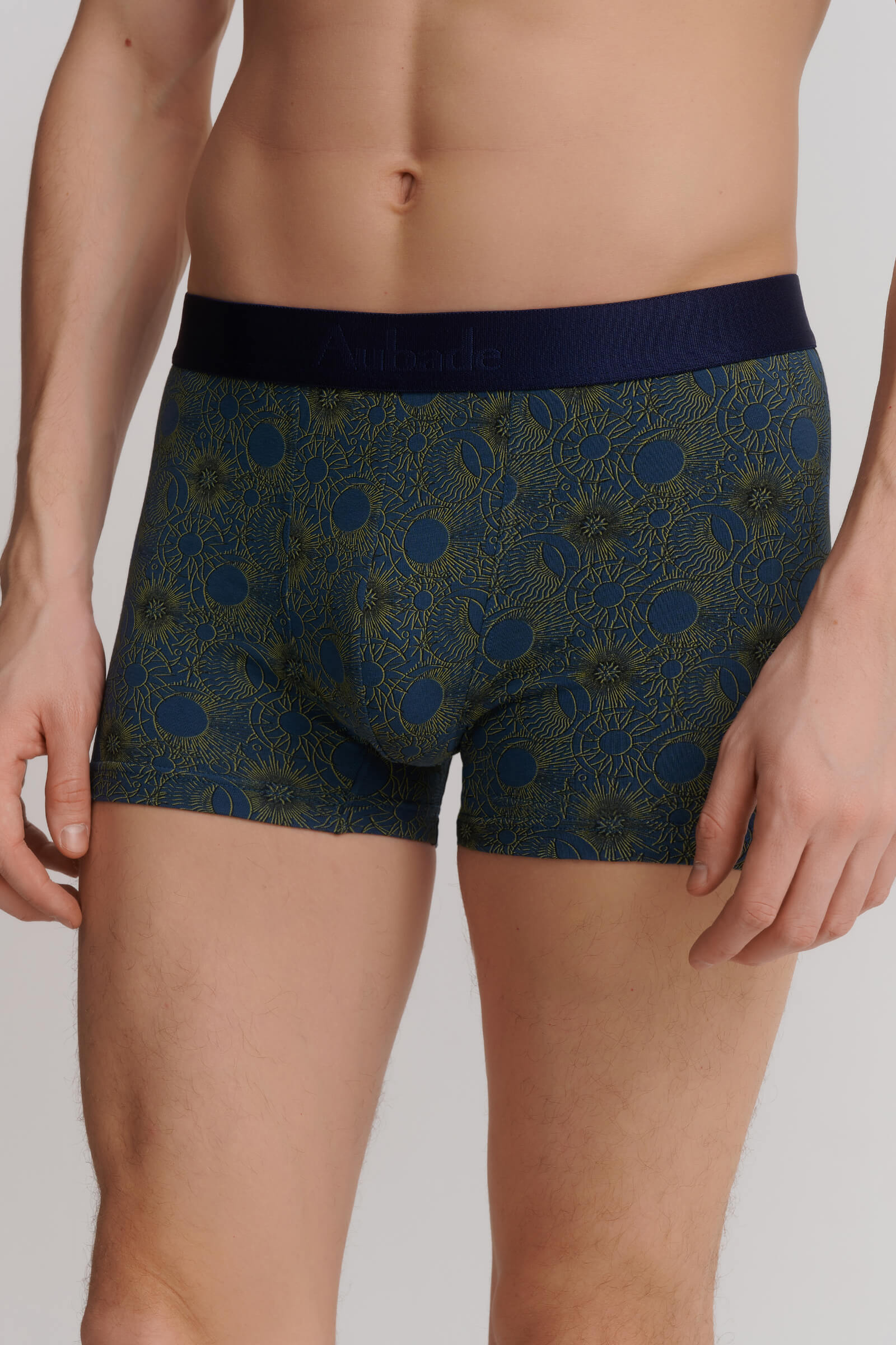 Трусы боксеры-брифы с принтом Бренд 