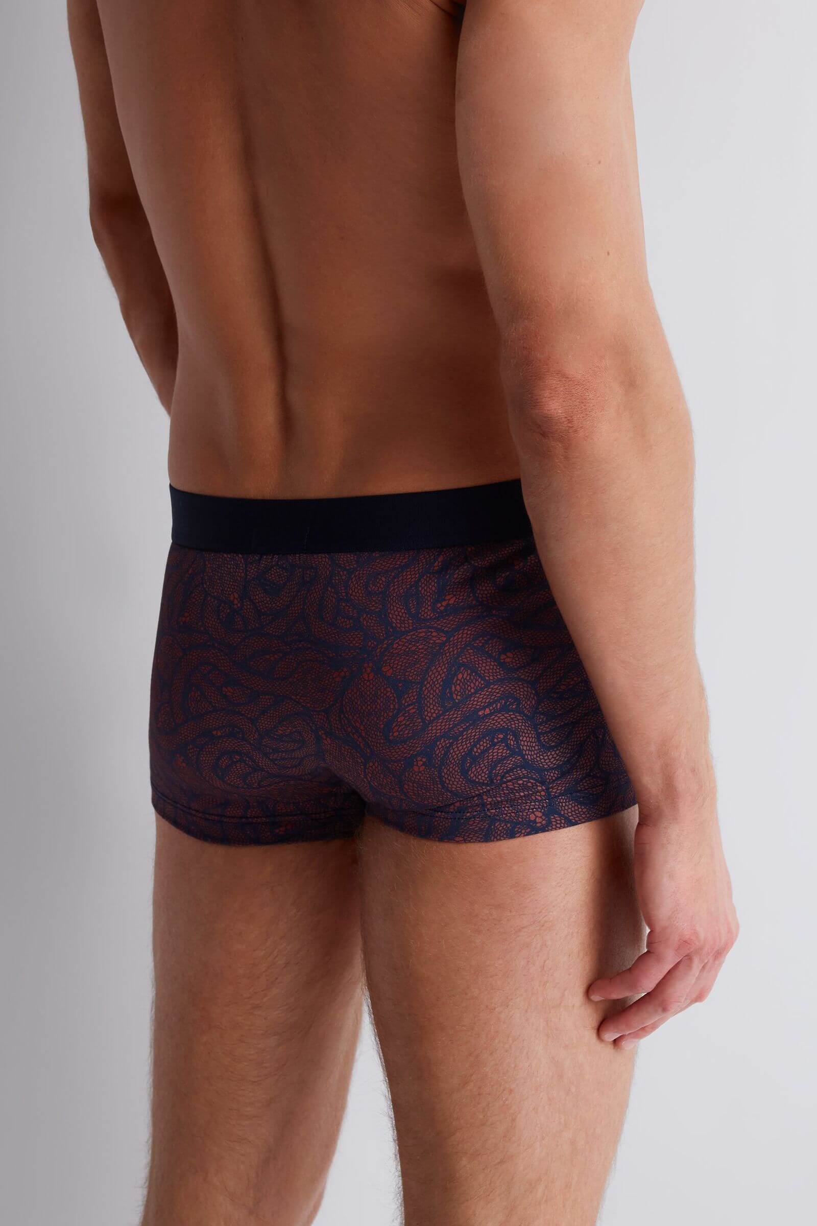 Трусы транки из смесового хлопка Бренд  Изображение 3